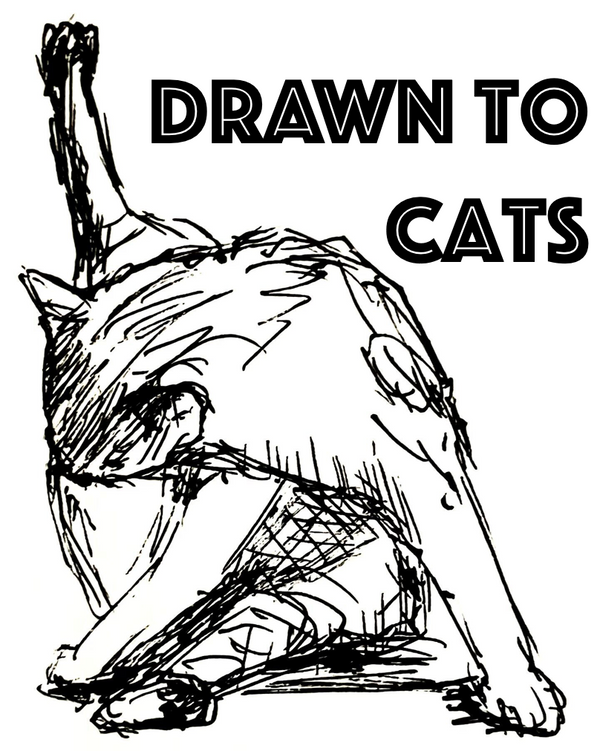 Drawn to Cats